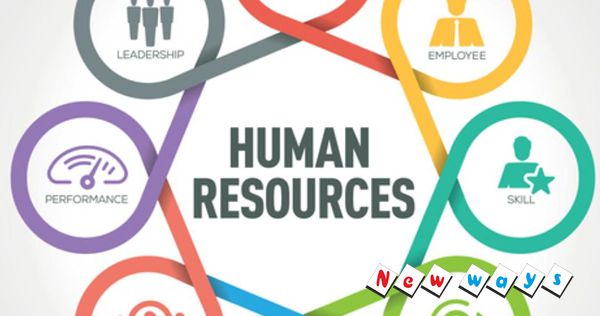 HR Essentials: A Comprehensive Overview of Human Resource Management Fundamentals